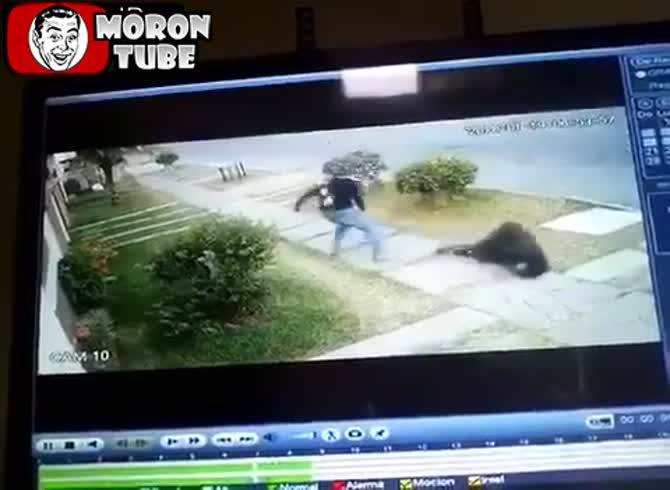 Video :A street shot to the head